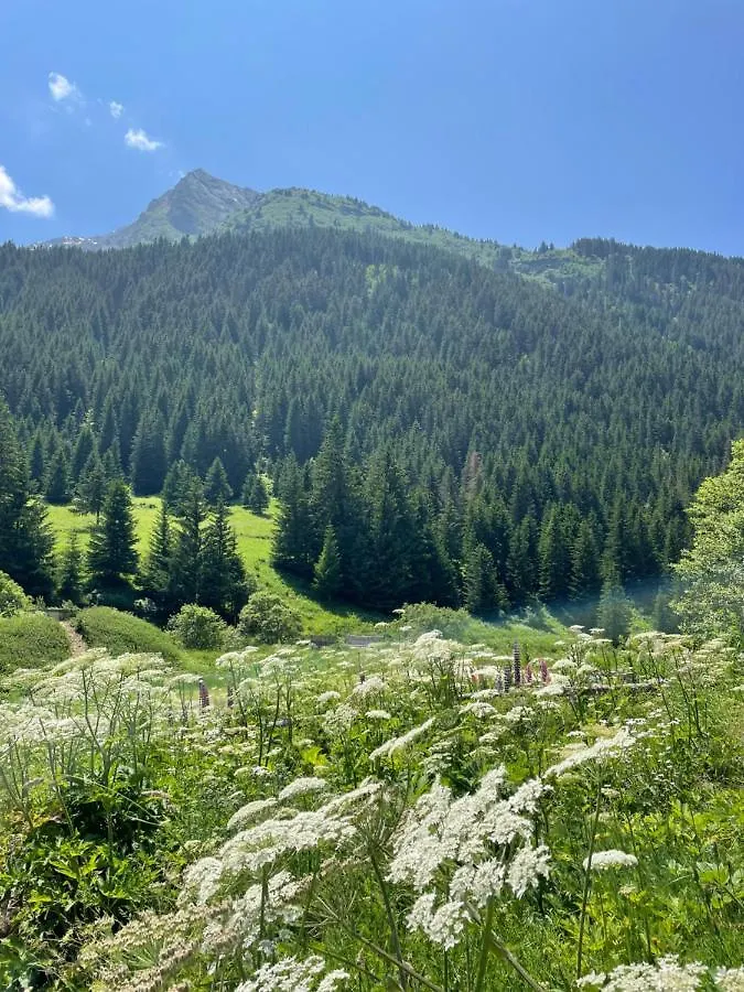 T2 Vue Sur Le Parc De La Vanoise La Plagne
