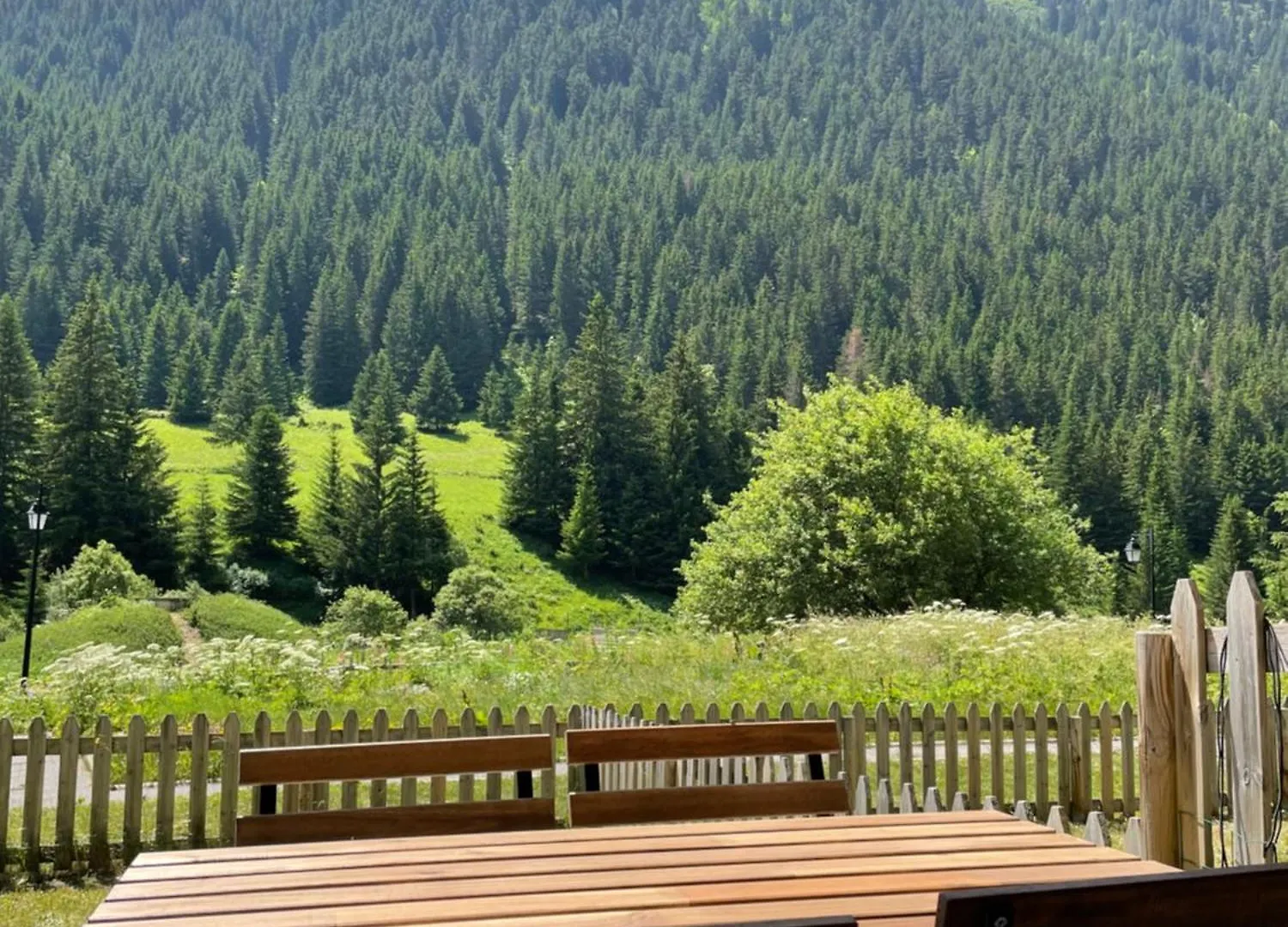 T2 Vue Sur Le Parc De La Vanoise La Plagne